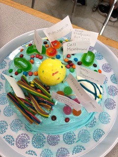 Grade 8 Science - Edible Cell Project